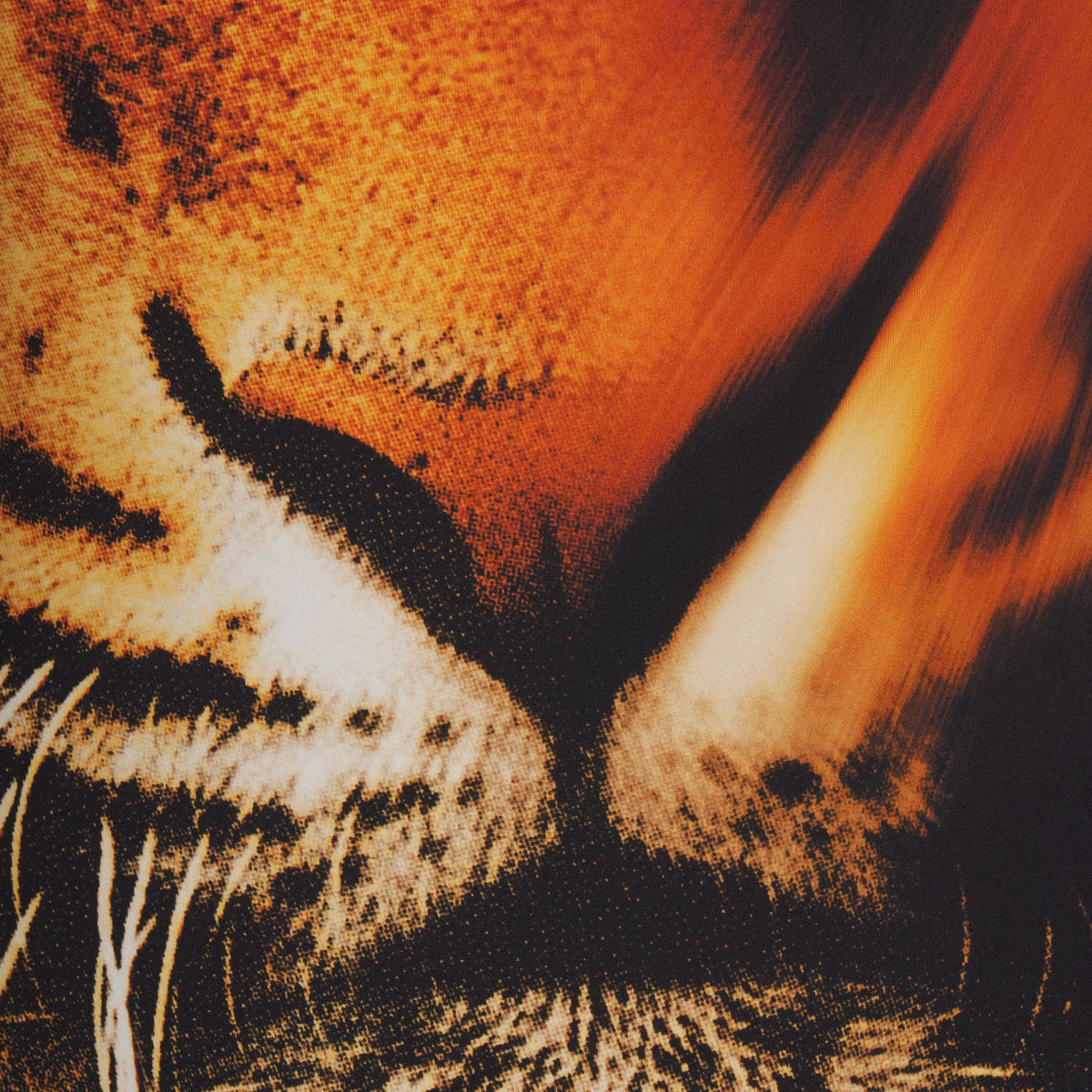 ROBERTO CAVALLI X SKIMS TRIANGLE BIKINI TOP | TIGER FACE PRINT