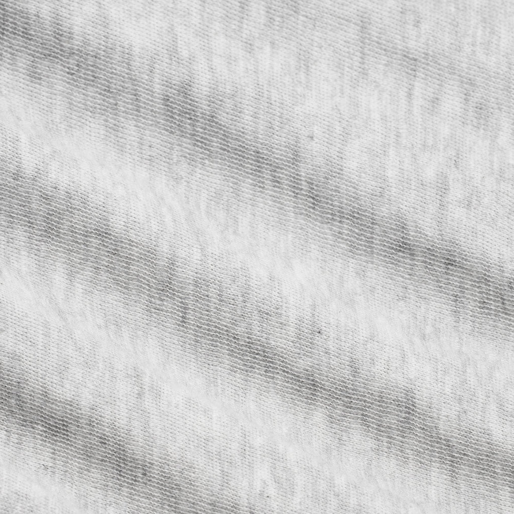 WORN IN JERSEY POLO BABY TEE | LIGHT HEATHER GREY