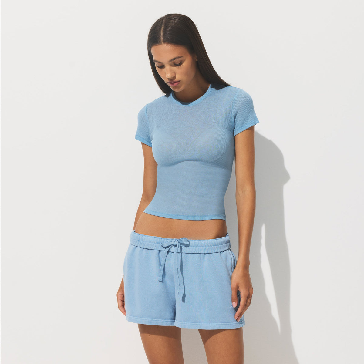SHEER RIB T-SHIRT | BLUE BELL